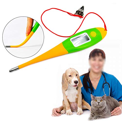 Linpu Pet Electronic Thermometer Dog Digital Thermometer Veterinary Care