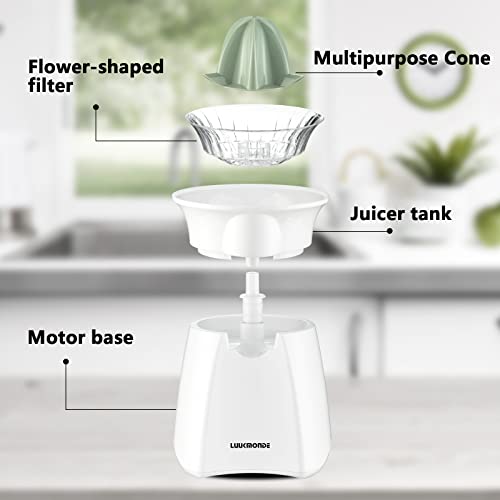 LUUKMONDE Electric Citrus Juicer with Lockable Spout - Electric Lemon Squeezer & Orange Juicer with Powerful Motor - Ideal for Orange, Lemon, Lime, and Grapefruit - D-8016A, White