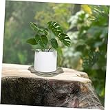 Zoom IMG-2 akoosy vaschetta drenante per piante Zoom IMG-2 akoosy vaschetta drenante per piante