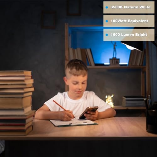 Image of LED Light Bulbs A19 Natural White 100 Watt Equivalent (Not Dimmable) 6Pack