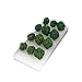 TECKEEN 12Pcs Mini Model Trees Model Train Railroad Scenery Diorama Supplies Railway Layout Miniature Scenery Plastic
