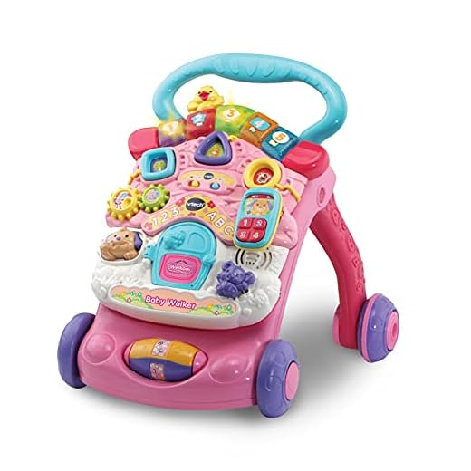 VTech 80-505652 - Baby Walker - Roze - Voor Jongens en Meisjes - Van 9 tot 36 maanden - Nederlands Gesproken