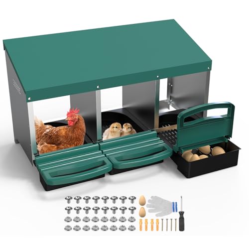 Nichoir à poule en métal M METERXITY à 3 compartiments vert avec œufs