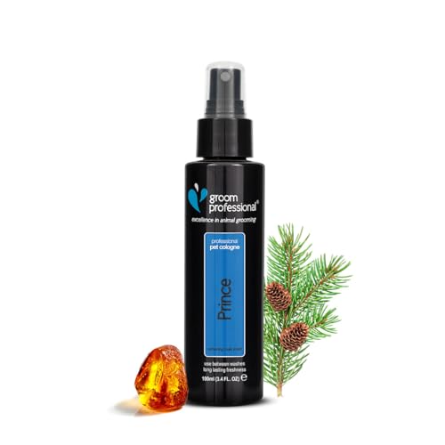 GROOM PROFESSIONAL Novio Príncipe Príncipe Colonia, 100ml