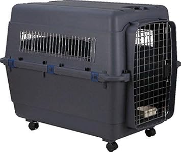 Dog Trust Dog Plastic Flight Crate Iata Approved Pet Carrier, Traveler (40 INCH)