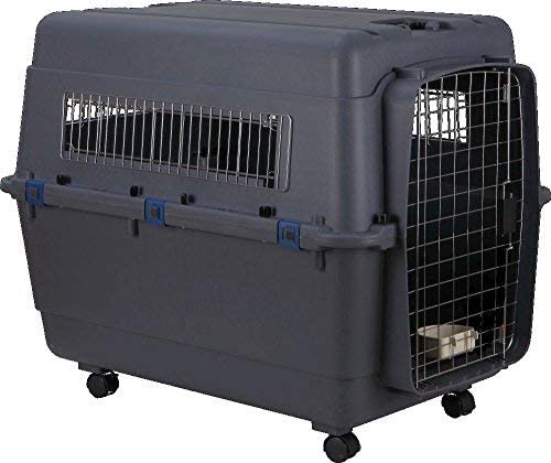 Dog Trust Dog Plastic Flight Crate Iata Approved Pet Carrier, Traveler (40 INCH) (B09KHBGJ28) Amazon Price History, Amazon Price Tracker