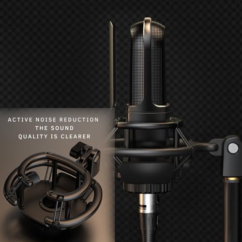 Image of FIFINE K726 Cardioid Condenser Microphone with XLR Output, Shock Mount, Pop Filter and Noise Reduction for Professional Studio Recording, Gaming, Streaming and Podcasts.