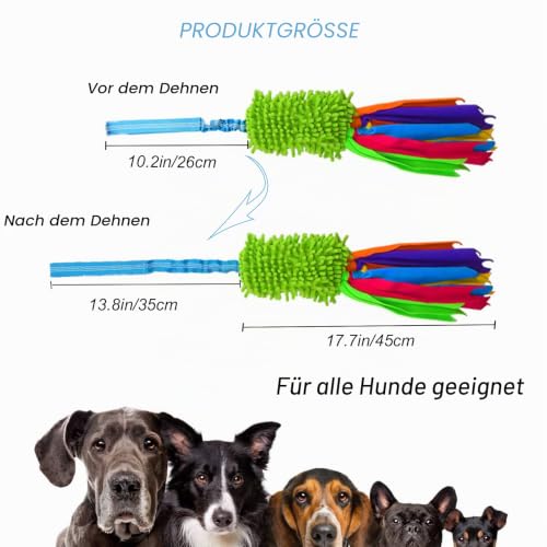 TEKCAM Hundespielzeug Mop Bungee Tug Spielzeug mit Squeaky,Interaktives Spieltrainingsseil Hunde Spielzeug für Kleine Mittlere GroßE Hunde Training Agility, Tauziehspielzeug