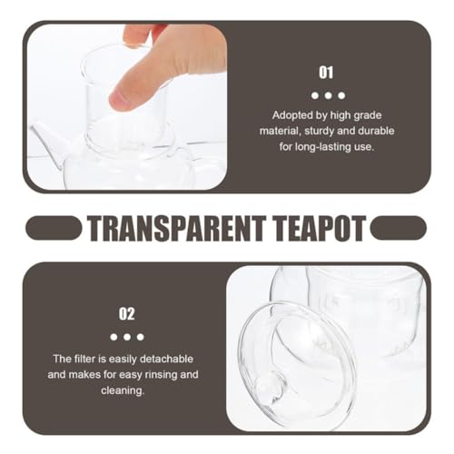 Théière avec infuseur en verre borosilicate robuste et design épuré