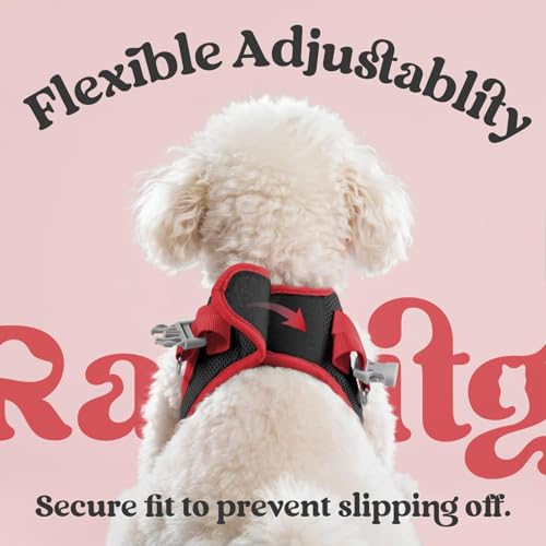 rabbitgoo Dog Harness Small Sized and Leash Set, Step in Soft Vest | Breathable Mesh, Easy Wear with Hook & Loop, Light and Reflective for Walking, Multi-colored, Black & Red, S - Image 6