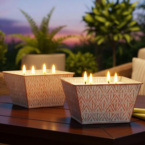 Citronella Outdoor Candle 30oz 4 Wicks 180hr Burn Time