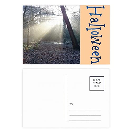 Cartes postales Halloween vert foncé à offrir et collectionner pour petits et grands