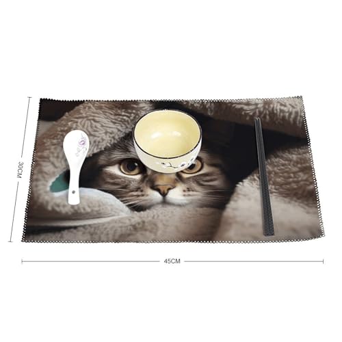 Set de table chat résistant chaleur pour en finir avec les plis