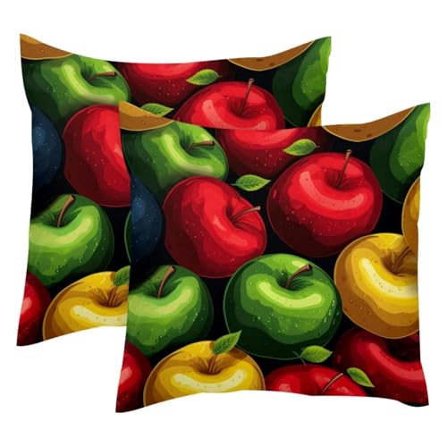 Housses de coussin velours double face de qualité supérieure 50x50 - 2