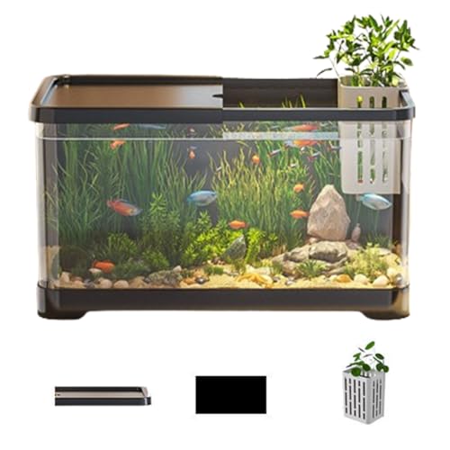 vX`bNeʐ @\ANAEi_J//Mы/Vvp j (L,C)