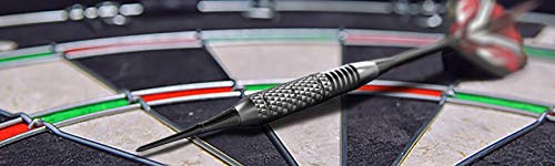 CC-Exquisite Professional - Plastic TIP Darts Set -12 X 18g Steel Barrels Soft TIP Darts for Electronic Dartboard- 100 Extra Tips, 12 Aluminum SHAFTS 35/48mm, 20 Flights, Extra O\' Rings + CASE