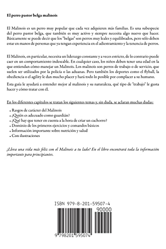 Pastor Belga Malinois