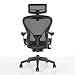 CHAIRORAMA Certified Refurbished  Aeron Chair Size B – Fully Loaded PostureFit, Fully Adjustable Clip‑Latch Adjustable Arms, Tilt Limiter 12‑Year Warranty (Headrest)