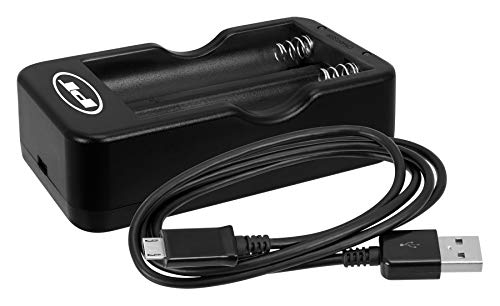 Performance Tool W2655C Dual 18650 Battery USB Charger