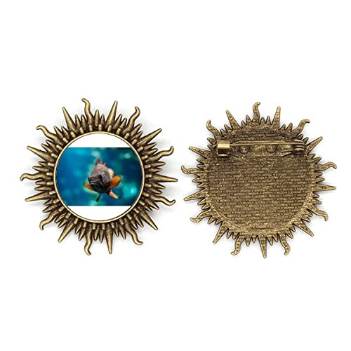 Broche poissons tropicaux en métal, le cadeau idéal pour femme
