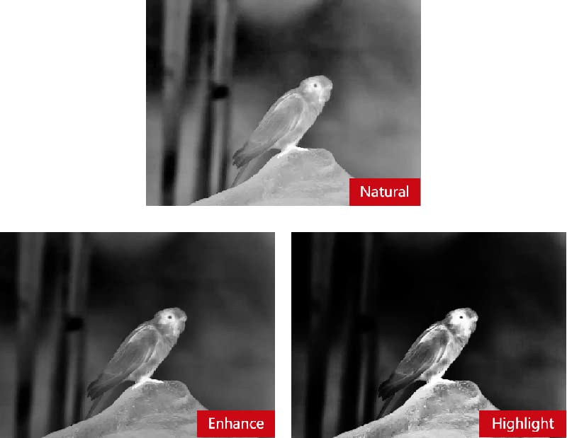 Binoculares térmicos infrarrojos visión nocturna profesional miniatura 7