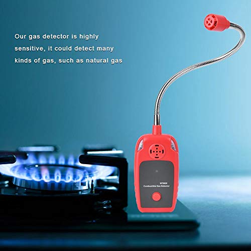 Rilevatore di perdite di gas, rilevatore di gas