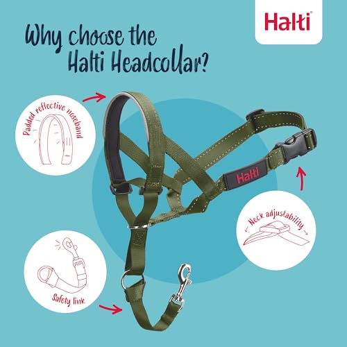 Image of Halti Headcollar for Dogs | Size 1, Forest Green | Stop Your Dog Pulling on the Leash | Adjustable, Reflective, Lightweight | Padded Nose Band | Training Collar for Small Dogs
