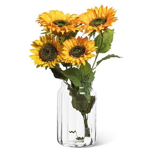 Vase Optique en Verre Transparent Soliflore Design Abbott Collection - 3