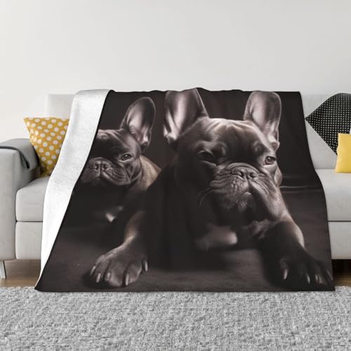 Coperta per divano con bulldog francese, in peluche, leggera, super morbida, coperta in flanella per letto, calda e accogliente, coperta in microfibra, per divano, ufficio, viaggi, tutte le stagioni