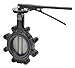 Butterfly Valve