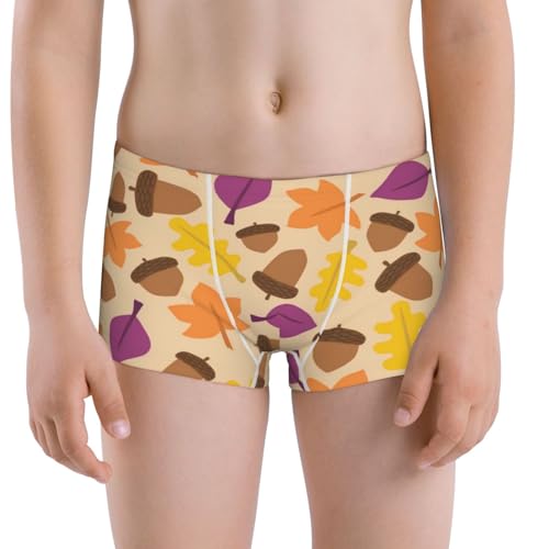 Boys' Cotton Boxer Brief Soft Underwear-Acorn Autumn Fall Leaf Leaves