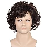 AMZCOS 10 Inches Mens Short Dark Brown Curly Wig Anime Cosplay Heat Resistant Synthetic Hair Wigs for Adults Costume Halloween Party