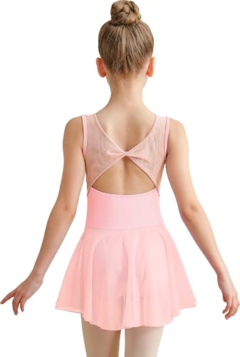 DANSHOW DANSHOW Ballet Leotard for Toddler Girls Skirted Dance Dress