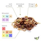 UGF - Insektenmischung - 80g im 500 Milliliter Eimer, Igelfutter, Rennmausfutter, Hamsterfutter, Rattenfutter, Eidechsenfutter - Mehlwürmer, Soldatenfliegenlarven, Seidenraupen