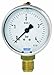 WIKA 50701631 Commercial Pressure Gauge, Liquid-Filled, Copper Alloy Wetted Parts, 1-1/2" Dial, 0-160 psi Range, +/- 2.5% Accuracy, 1/8" Male NPT Connection, Center Back Mount