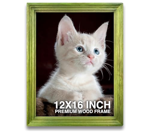Image of Photo Frame 12x16 inch | Hanging Photo Frame | mini Frame | Green Wooden Frame for Wall | Refreshing Room Decor (12x16 inch, Green)