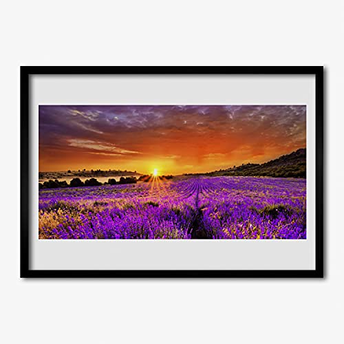 Affiche encadrée champ de lavande Tulup pour une ambiance douce et solaire