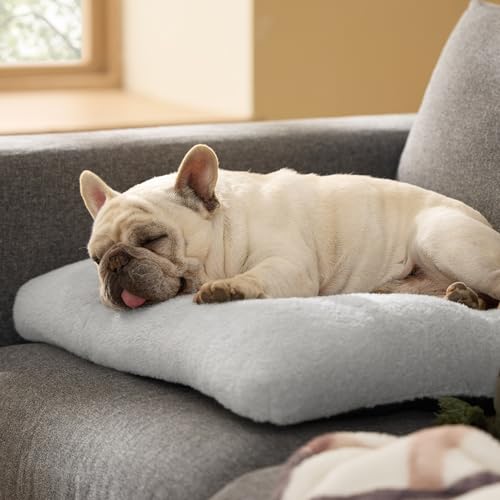 BEDSURE Hundebett Waschbar Groß - Hundekissen Bett Beruhigende Hundematratze mit Rutschfestem Boden, Warmes Kissen für Große Haustiere, Hellgrau, 74x53x8cm