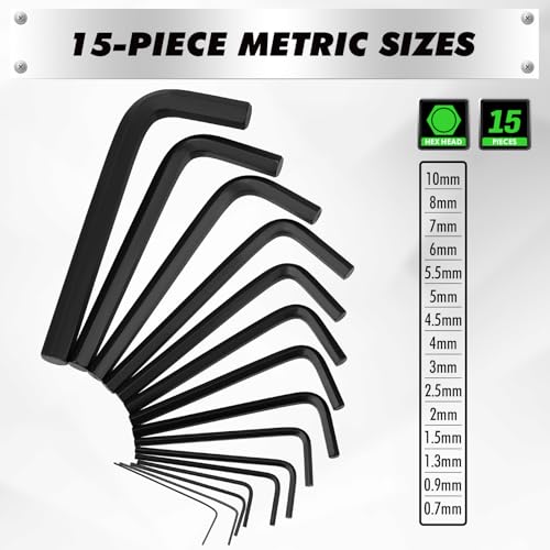 41-Piece Allen Wrench Set with Torque Handle
