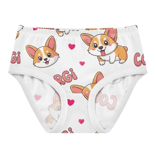 Fancy Toddlers Underwear Floral 2t Cotton Panties Little Girl Cute Cartoon Corgis Pink Prints Briefs Undies Kids