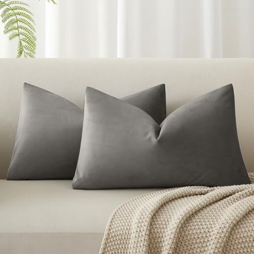 Image of 12x20 Throw Lumbar Pillow Covers Decorative Cushion Covers Set of 2,Ash | Soft Velvet Pillow Cases with Invisible Zipper for Modern Couch Sofa Bed Living Room Bedroom Home Decor
