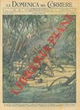 Copertina illustrata