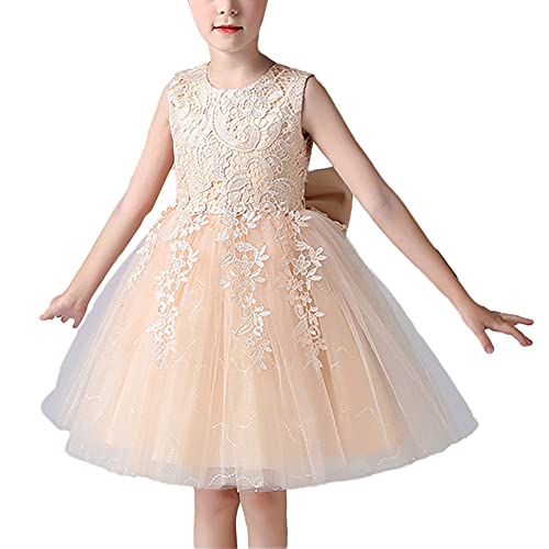 Vestido de Princesa sin Mangas Bebe Niña,Flor Tutu Vestidos de Encaje de Tul,Vestidos de Dama de Honor de Boda Vestido de Fiesta Chica Elegantes Vestido para Comunión Cumpleaños Paseo Baile Cóctel Cover