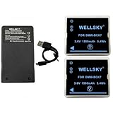 WELLSKY DMW-BCK7 NCA-YN101F 互換バッテリー 2個 + 超軽量 USB Type-C 急速 互換充電器 バッテリーチャージャー DWM-BTC8 1個 [ 3点セット ] [ 純正品と同じよう使用可能 残量表示可能 純正品と同じよう使用可能 ] パナソニックルミックス