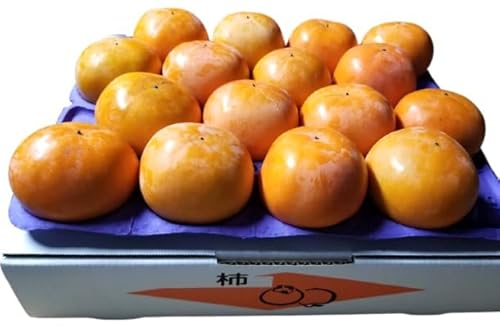 ` Ê` yc`z ₳Ƃ̊` xL`EY` 3.5kg L 16 錧Ήs s11/{`11/{oׁt