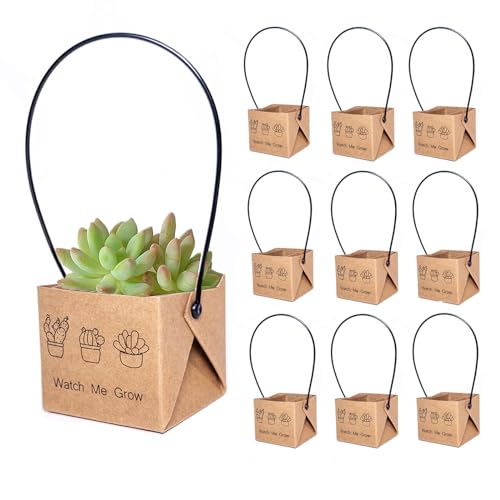 ALLWSLucky 100 Pcs Mini Cajas De Suculentas, 5,1 cm Maceta de Papel para Plantas suculentas, Bolsas para Envolver Suculenta, Envoltorios de suculenta con Asas de plástico