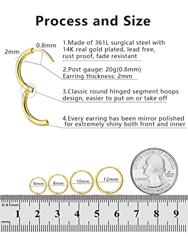 316L Surgical Stainless Steel Hoop Earrings,Mens Hoops Earrings Gold Silver Black Hypoallergenic,6mm 8mm 10mm 12mm Small Huggie Hoop Earrings Men Women for Cartilage Piercings4