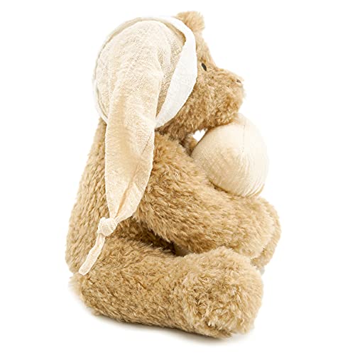 Nleio Teddy Bear Stuffed Animals, 15.7" Stuffed Bear Plush, Cute Stuffed Animal With Hat & Pillow, Small Teddy Bear For Kids Baby Toddlers Girlfriend, Gifts For Valentine's Day/Birthday/Christmas #TOP3