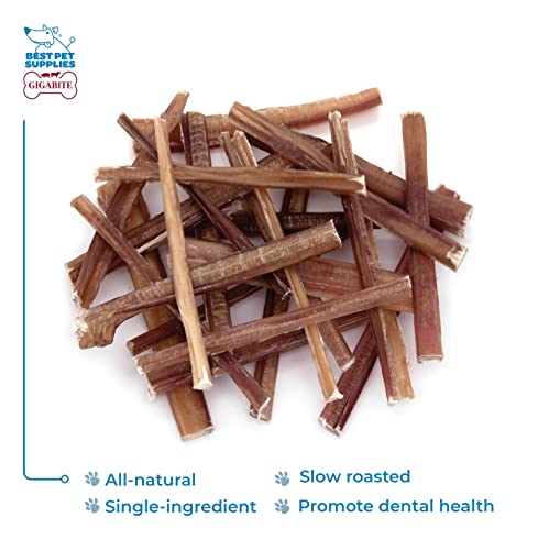 Image of GigaBite Bully Sticks for Dogs All Natural Beef Pizzle Dog Chews, Odor & Rawhide Free Dog Treats, Long Lasting High Protein Chews Digestible Dental Dog Treat - Sticks (Slim 6 inch), Pack of 25