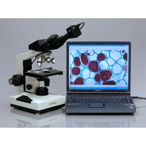 Image of AmScope B490 Compound Binocular Microscope, 40X-1000X Magnification
